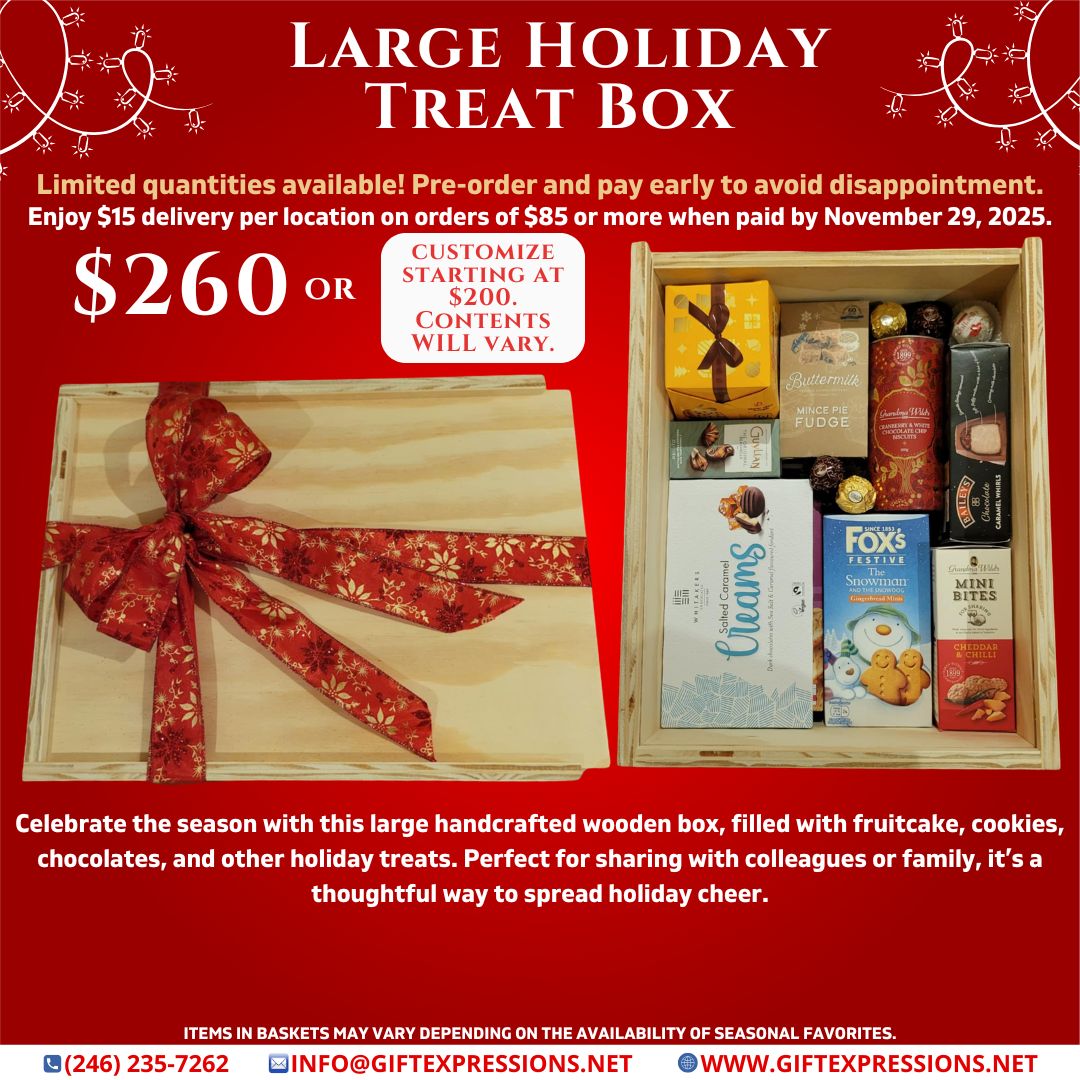 Large Holiday Treat Box