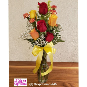 6 Roses in a Vase Gift Expressions   