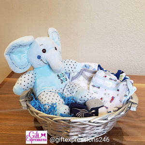 Baby Boy Basket Gift Expressions   