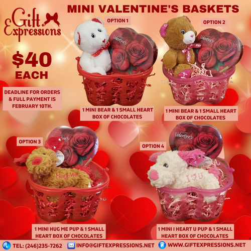 Mini Valentine's Baskets Gift Expressions   