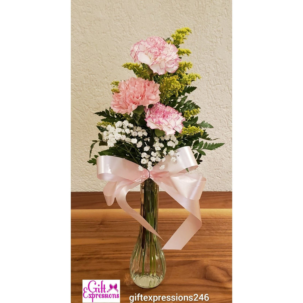 With Sympathy Carnations in a Budvase Gift Expressions   